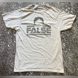 “False” Dwight Schrute The Office Gray Short Sleeve T-Shirt Men's Medium